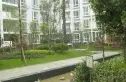 丽景欣城花语间实景图