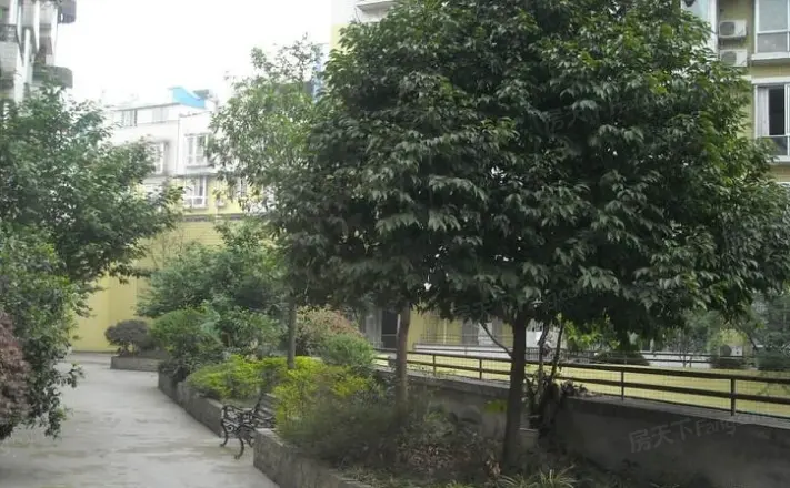 丽景欣城花语间实景图