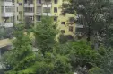 丽景欣城花语间实景图