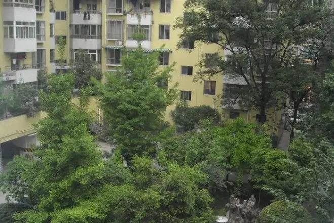 丽景欣城花语间实景图