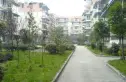 丽景欣城花语间实景图