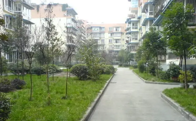 丽景欣城花语间实景图