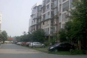 荆竹小区1号院 2室2厅 南 北