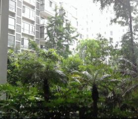 荆竹小区1号院 2室1厅 东 西