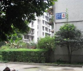 玉林南路102号 2室1厅 东南