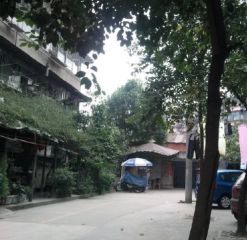 银沙横街11号 2室1厅 南