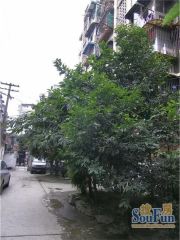 马鞍东路社区2室1厅南东南