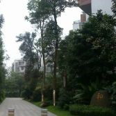 西贵堂 4室2厅 南