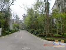 今日田园 5室2厅 东南