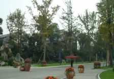 今日田园 5室2厅 南 北