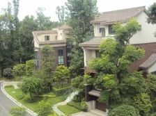 今日田园 5室2厅 西南