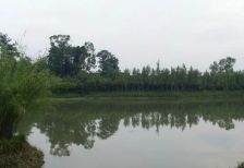 今日田园 5室2厅 东南