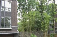 今日田园 5室2厅 东南 西北