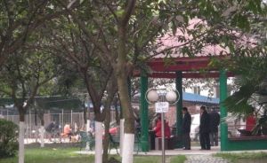 杨柳西区2室2厅西南