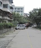 杨柳小区3室2厅东东南