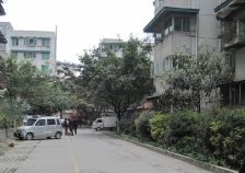 杨柳小区2室1厅东北