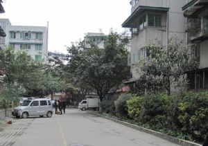杨柳小区2室1厅东北