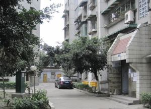 杨柳小区2室2厅东南
