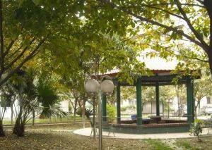 杨柳小区2室1厅西南