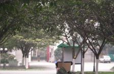 杨柳小区2室2厅南
