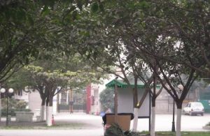 杨柳小区西区3室1厅东南