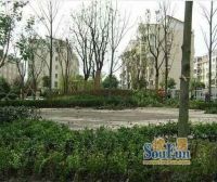 新南路83号3室2厅东