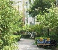 新南路83号3室1厅南