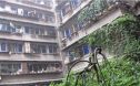 京川教师苑实景图