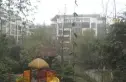 金沙商业中心实景图