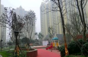 果壳里的城3室1厅东南