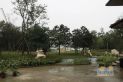 远大林语城别墅实景图