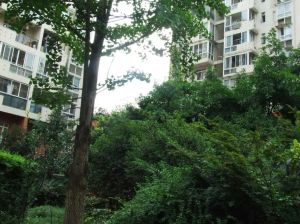 超洋花园 1室1厅 东南