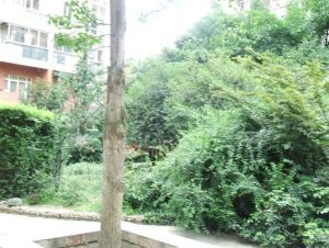 超洋花园 2室1厅 西南