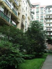超洋花园1室1厅西南