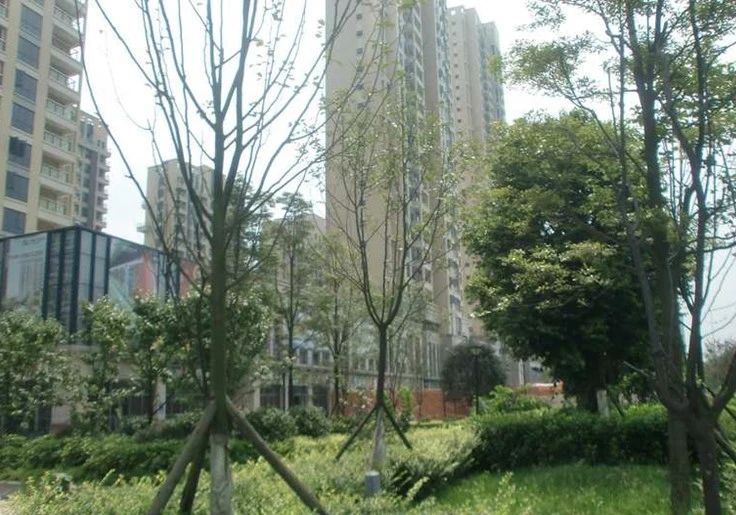 小区相关图