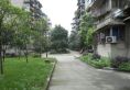 川大新北村实景图