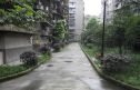 川大新北村实景图