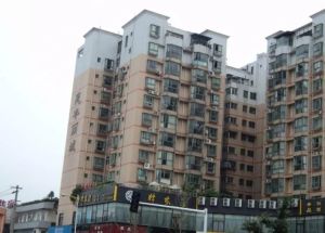惠丰丽城3室2厅东南