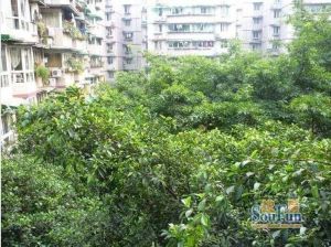 公交苑 3室1厅 东北