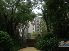 梧桐公馆 1室1厅 东