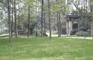 水岸东里1室1厅南