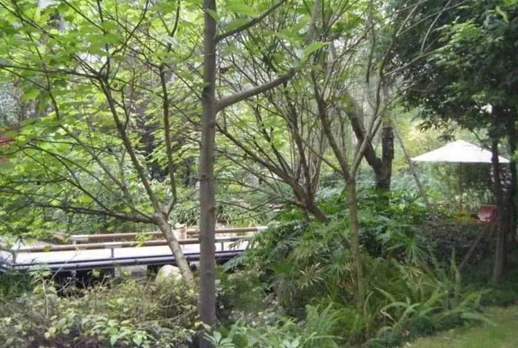 小区相关图