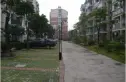 紫苑小区实景图