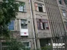 启秀 青年路 新建路 光明 总价低