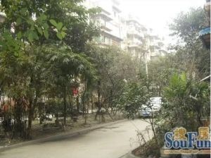 金玺园 1室1厅 东南