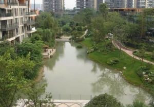 华侨城纯水岸二期4室2厅南
