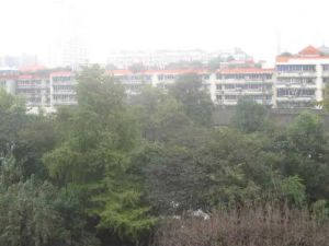 府青路二段4号3室1厅东