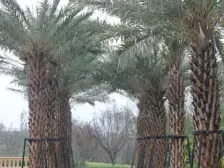 此房满两年,户型方正,纯联排别墅区,带双车位,