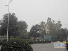 锦上清苑2室1厅东南