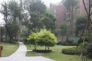 华润二十四城二期3室2厅东南